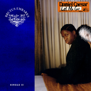 外国美女阴道变态拳交
