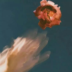 外国美女阴道变态拳交
